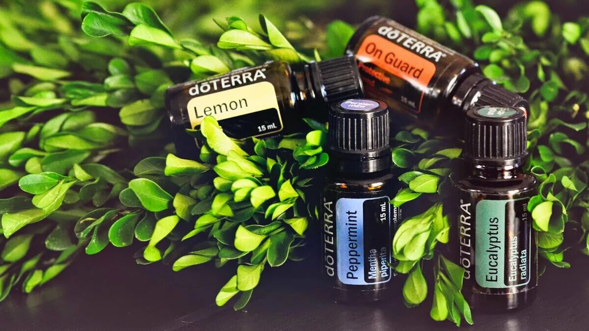 Эфирные масла россия. Эфирные масла ДОТЕРРА. Туя ДОТЕРРА. Туя DOTERRA эфирное. DOTERRA эфирное масло Cypress.