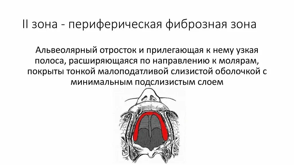 Зоны податливости слизистой оболочки по Люнду. Зоны податливости слизистой оболочки неба. Зоны податливости слизистой оболочки верхней челюсти по Люнду. Классификация слизистой оболочки по Суппле.