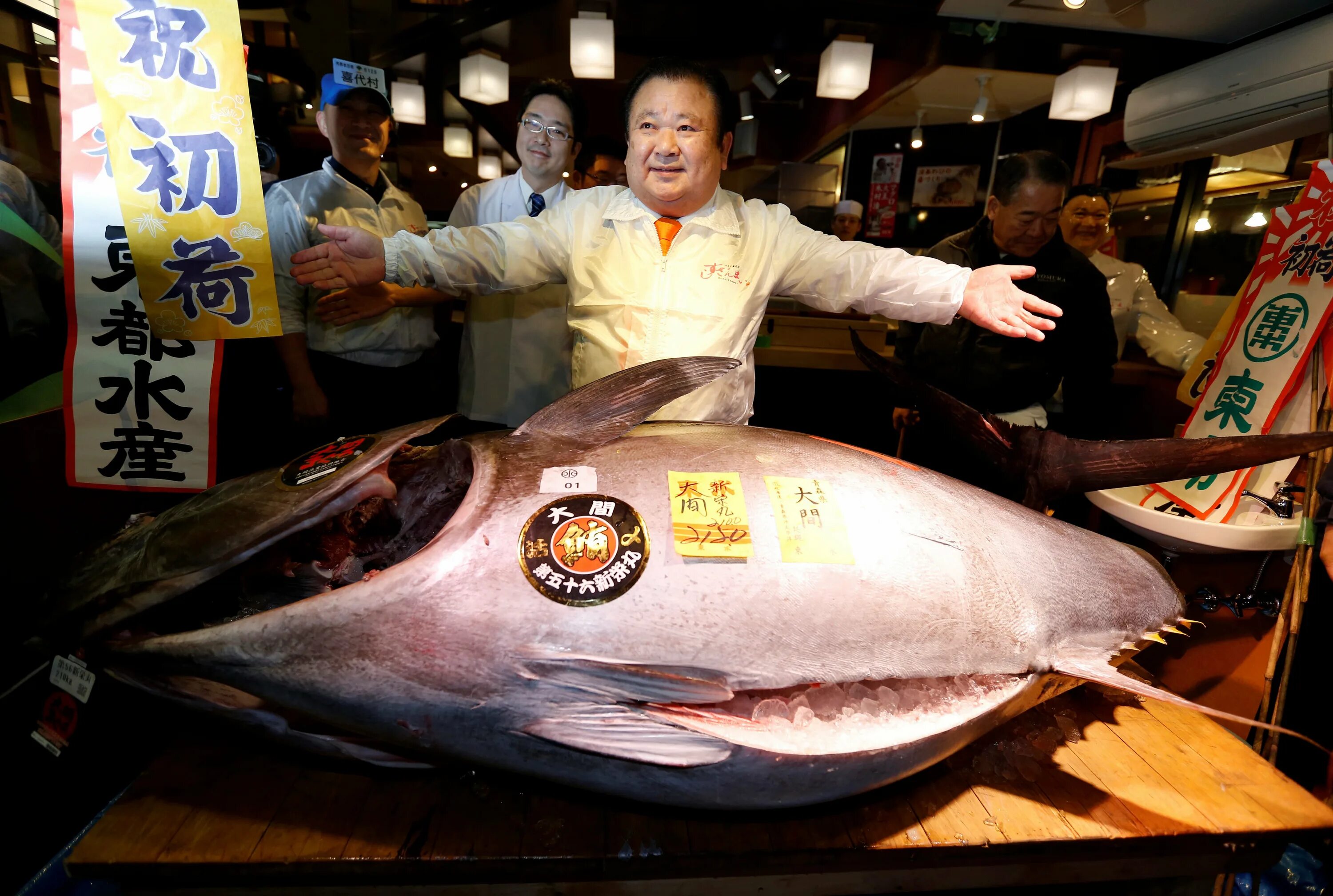 Тунец 600 кг. Япония рыбный рынок Цукидзи. Тихоокеанский голубой тунец тунцы.