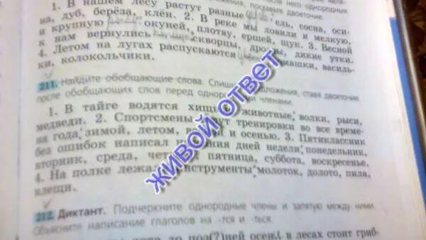 Обобщающие слова спишите предложения поставьте двоеточие. Обобщающие слова спишите предложения поставьте двоеточие