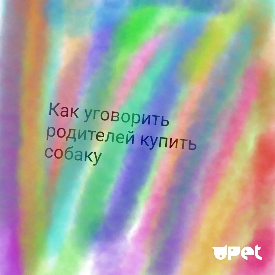 Как уговорить маму на собаку. Как уговорить родителей купить собаку. Как уговорить родителей купить щенка. КСК уговорить родителей купить собаку. Как заставить родителей купить щенка.