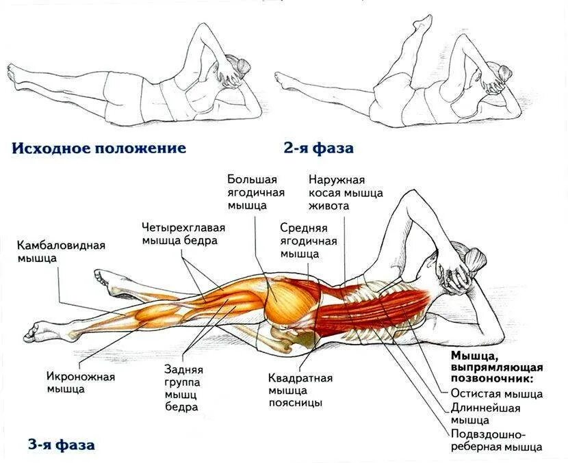 Как пользоваться ягодицей