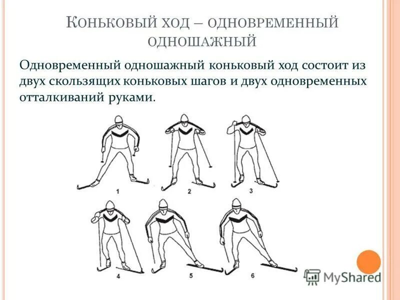 Под каждый шаг. Одновременный одношажный коньковый ход. Под каждый шаг. Коньковый и полуконьковый ход. Коньковый попеременный ход на лыжах.