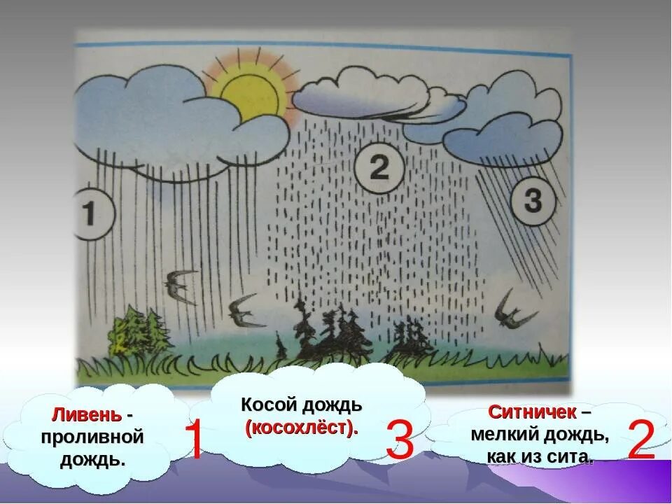 Почему бывают дожди. Виды дождя. Дождик ситничек. Ливень ситничек косохлёст. Название дождей.