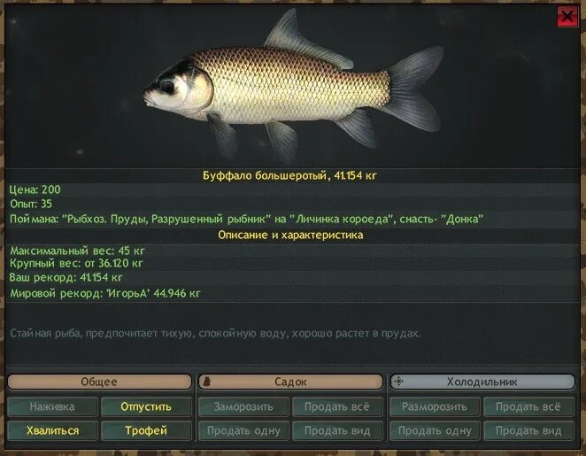 вес буффало. реальная рыбалка буффало большеротый. Fishing planet большеротый буффало. реальная рыбалка буффало большеротый. буффало большеротый реальная рыбалка.