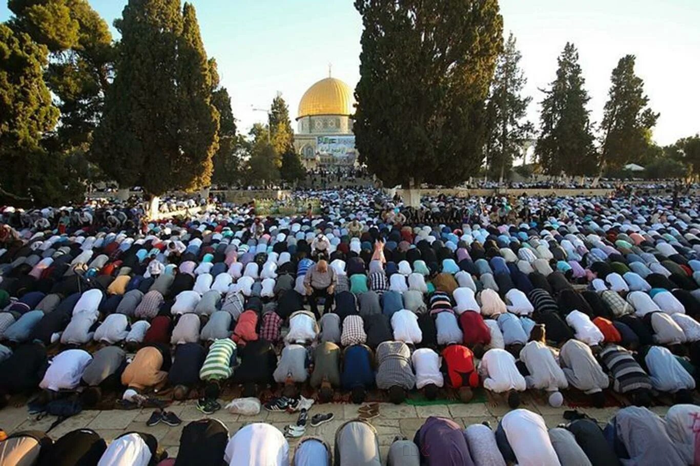 Мечеть аль-акса в иерусалиме. Намаз иерусалим. Иерусалим мечеть аль акса джума намаз. Намаз иерусалим. 2022.
