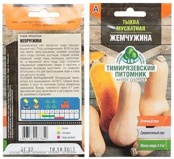 Мускатный сорт тыквы жемчужина