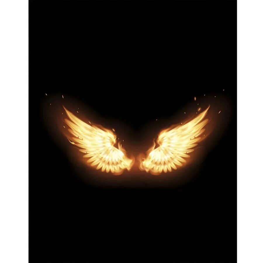 Огненные Крылья. Крылья Феникса. Огненные Крылья ангела. Красивые Огненные Крылья. Сгорающие крылья