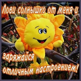Хорошего дня прекрасного настроения хорошей погоды