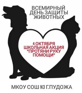 Рука помощи помощь животным