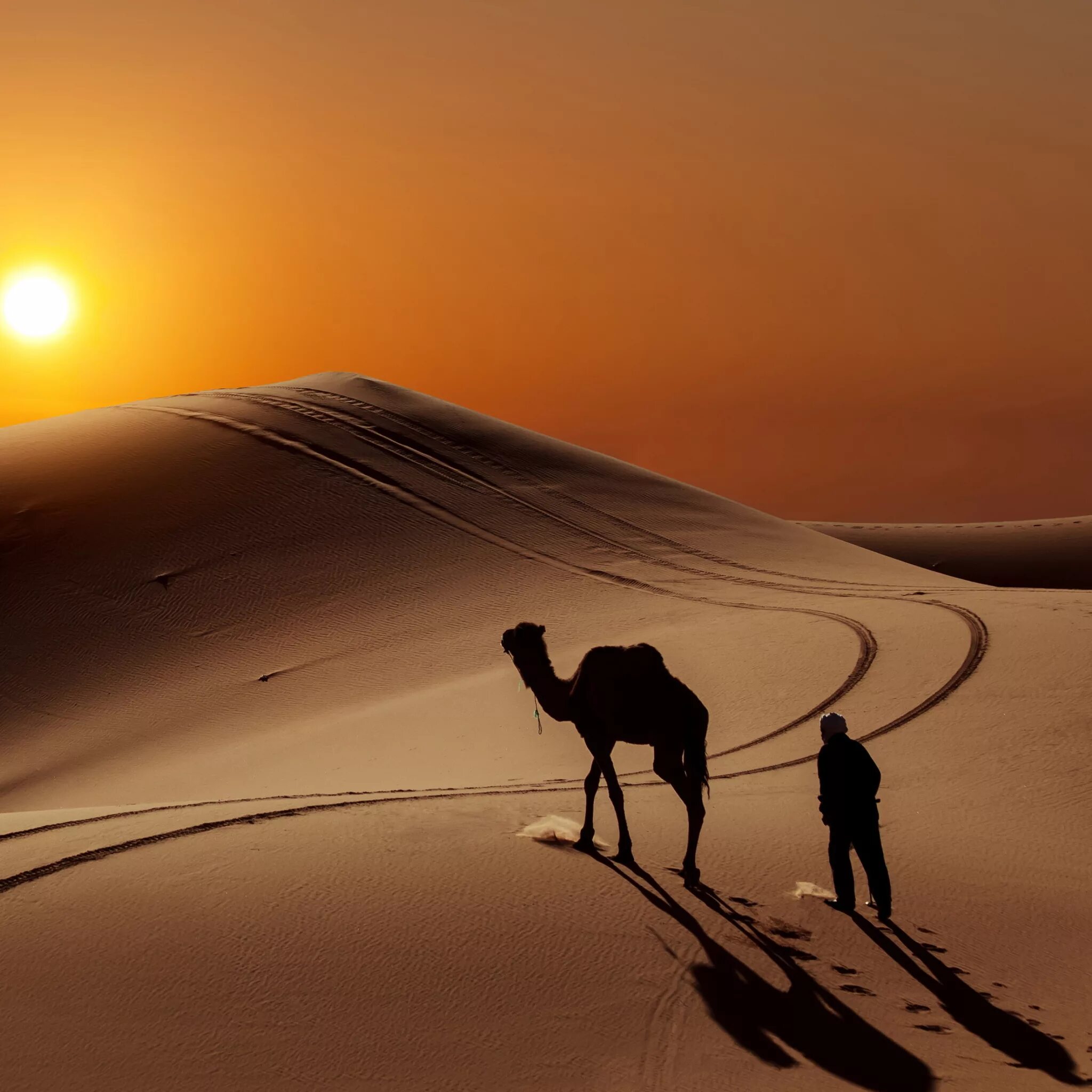Закат в пустыне. Верблюд в пустыне. Пустыня сахара закат. Караван в пустыне.