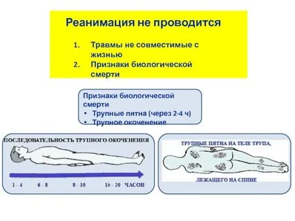 Биологические признаки жизни