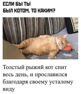 Выпусти внутреннего