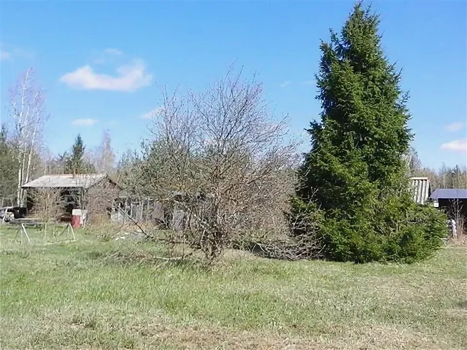 Снт оптимист трубников бор. Садоводство трубников бор снт химик. Снт азимут электроприбор прибор 47 км. Трубников бор участки. Снт радиатор трубников бор.