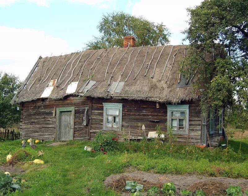 Купить деревню в беларуси. Кудричи деревня Пинского района. Пинский район деревня Клетная. Деревни Белоруссии Могилевская область. Деревня старина, Белоруссия.