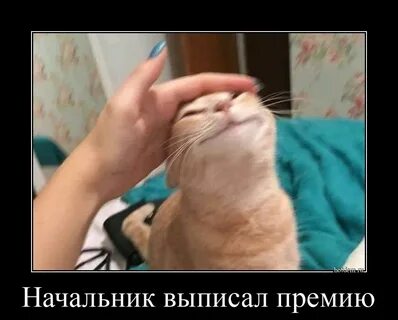 Премию выпишу