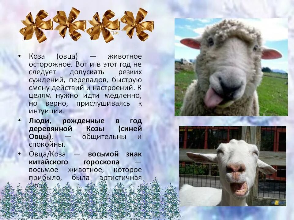 Рожденные в год овцы. Год козы овцы. восточный гороскоп овца. год козы характеристика. характер людей рожденных в год овцы.