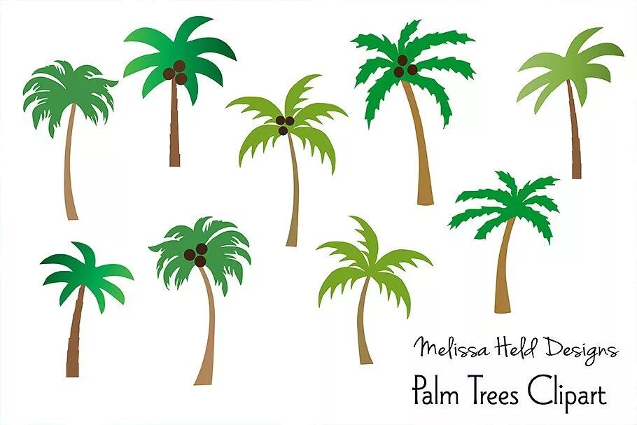 Palms set