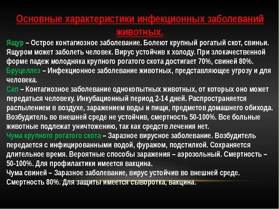 Ящур источник заболевания. Ящур болезнь лечение. Ящур пути передачи симптомы профилактика. Болезни у животных ящур у коров. Ящур болезнь лечение.