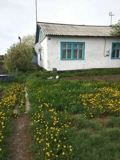 Погода русской поляне село калинино