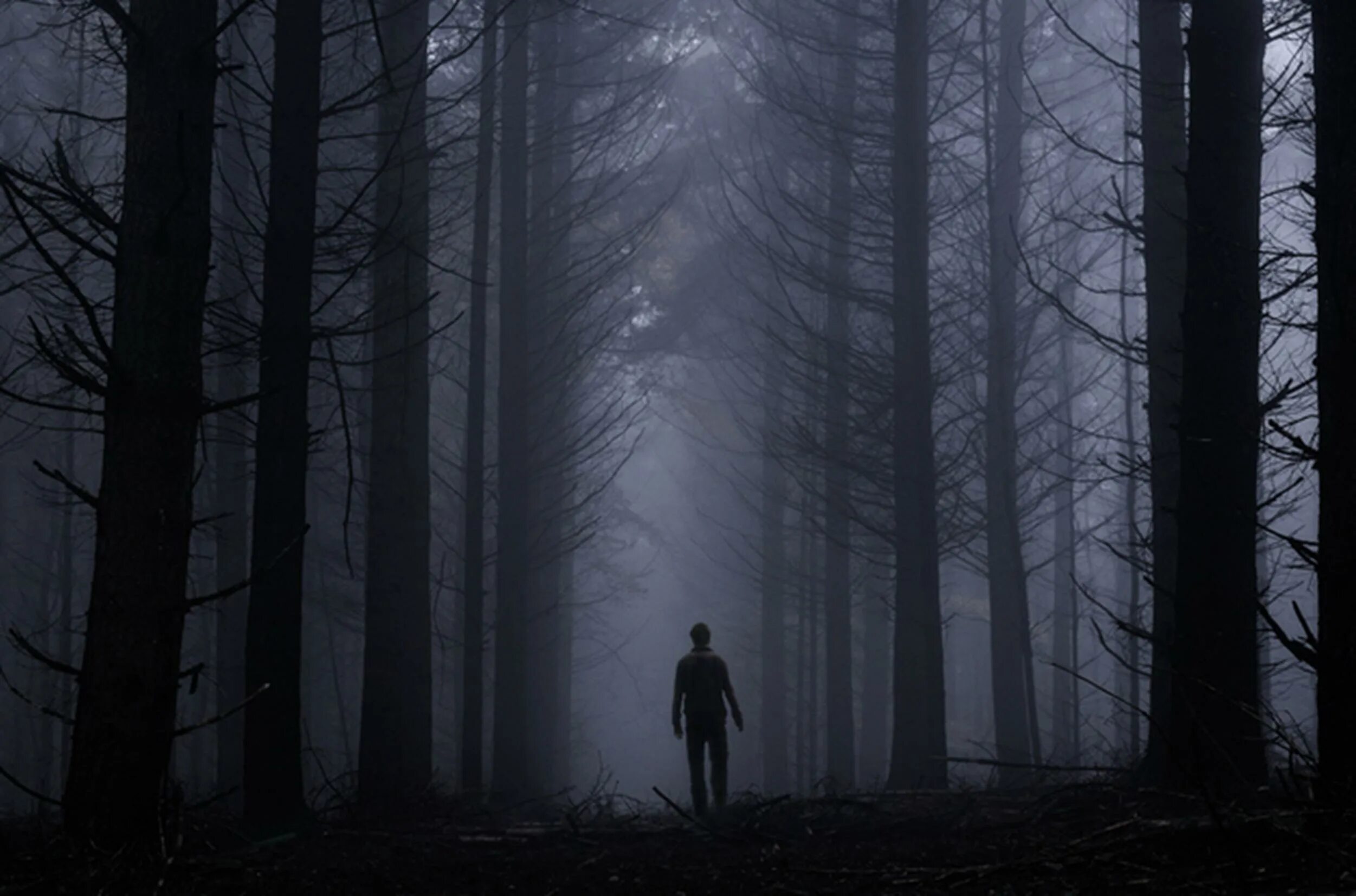 Finding dark