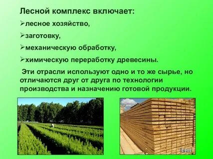 Лесное хозяйство включает