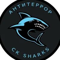 Раскрутка сайта team shark. Группа Sharks. Команда акулы. Логотип команд с акулой. Астрахань команда акулы.