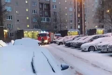 31 декабря зеленоград