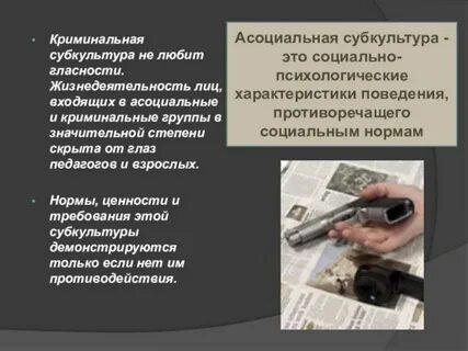 Криминальная субкультура
