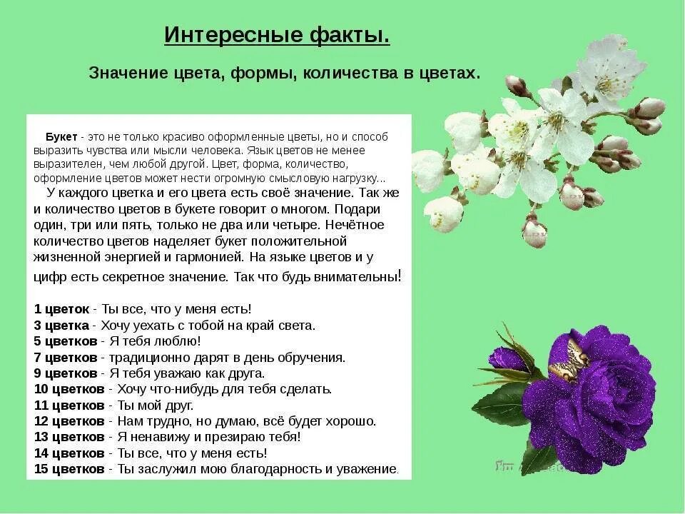 О чем говорят букеты цветов. Количество цветов в букете значение. Какое количество цветов можно дарить. Значимость цветов в букете. Количество роз в букете значение.