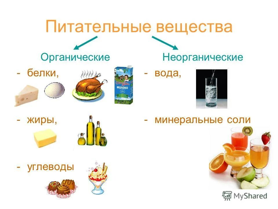 органические соединения белки жиры. органические вещества в организме человека. что такое пища органические вещества неорганические вещества. химический состав клетки. органические вещества клетки белки углеводы липиды.