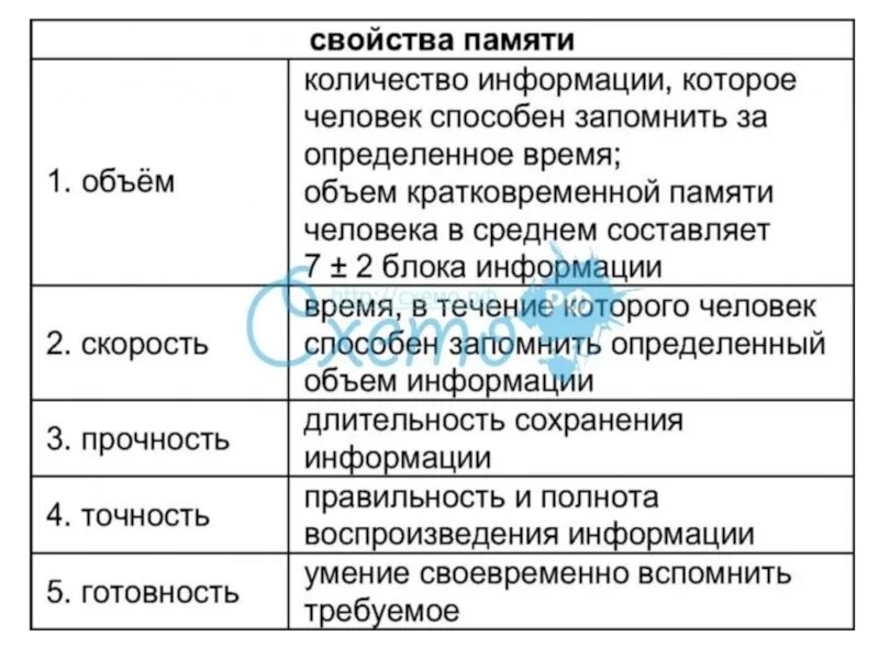 4 качества памяти. Свойства памяти в психологии. Память виды и свойства. Свойства и характеристики памяти. Характеристика видов памяти.