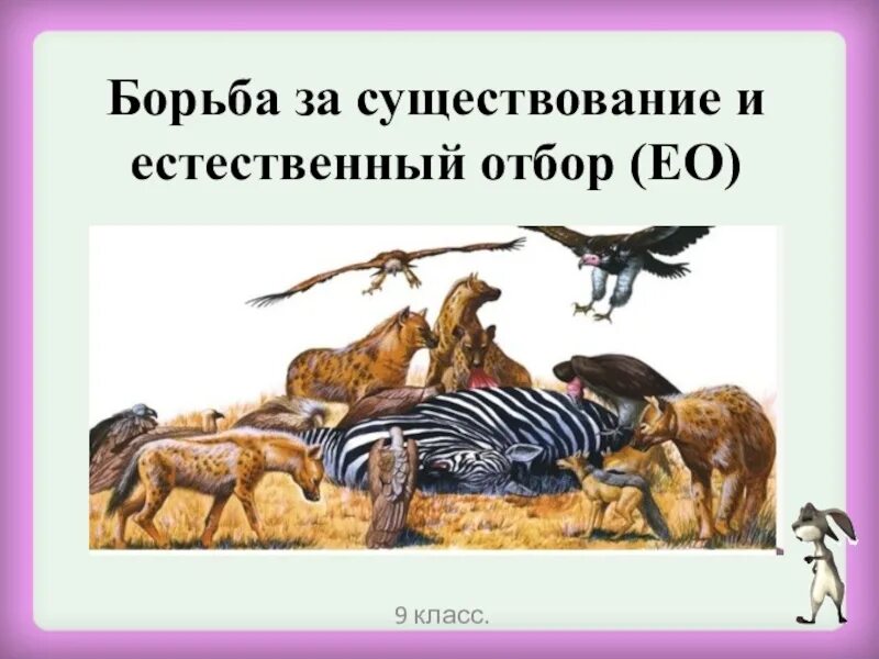 Естественный отбор презентация 9 класс. Формы борьбы за существование формы естественного отбора. Борьба за существование и естественный отбор 9 класс биология. Естественный отбор и борьба за существовани. ,JHM,F PF ceotcndjdfybt b tcntcndtyysq JN,JH.