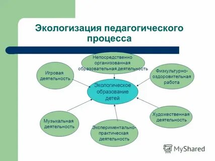 Процесс экологического образования дошкольников