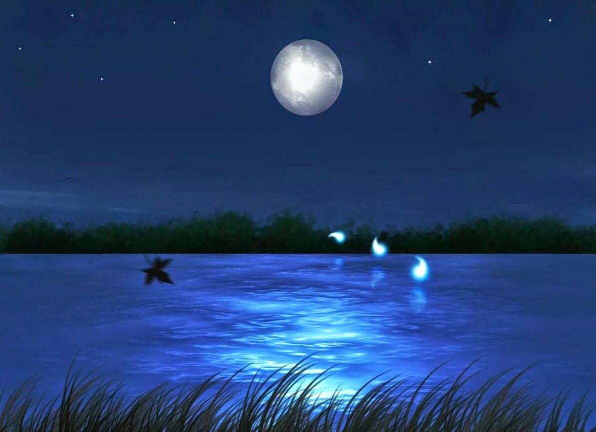 болотные блуждающие огни. фосфин блуждающие огни. блуждающие огни (славянская мифология). блуждающие огни на болотах. блуждающие огни на болотах фосфин.