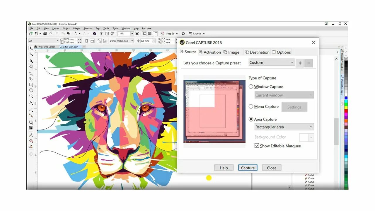 Corel c. Векторная графика корел. изображения в coreldraw. иллюстрации в кореле. программа coreldraw.