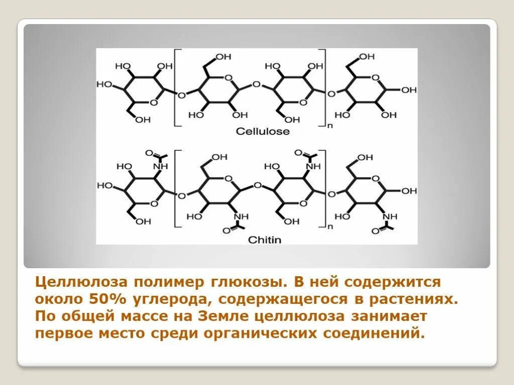 Целлюлоза вода глюкоза. Строение полимера целлюлозы. Целлюлоза полимер Глюкозы. Мономер и полимер Целлюлоза. Целлюлоза полимеры полимеры.