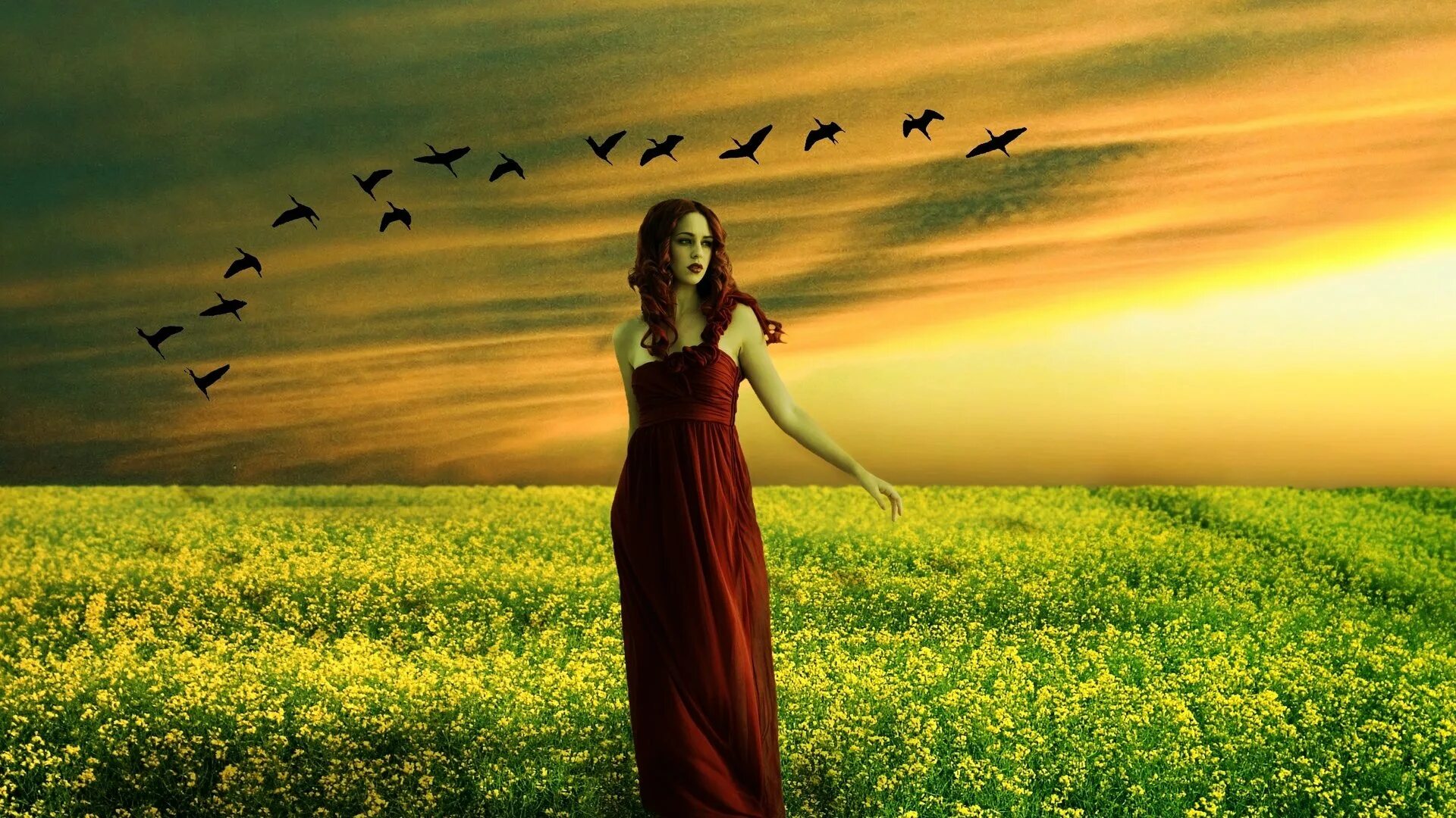 Песня как жаль птицей в небо. Женщина на природе. Девушка в поле. Девушка в поле на закате. Девушка в платье на ветру.