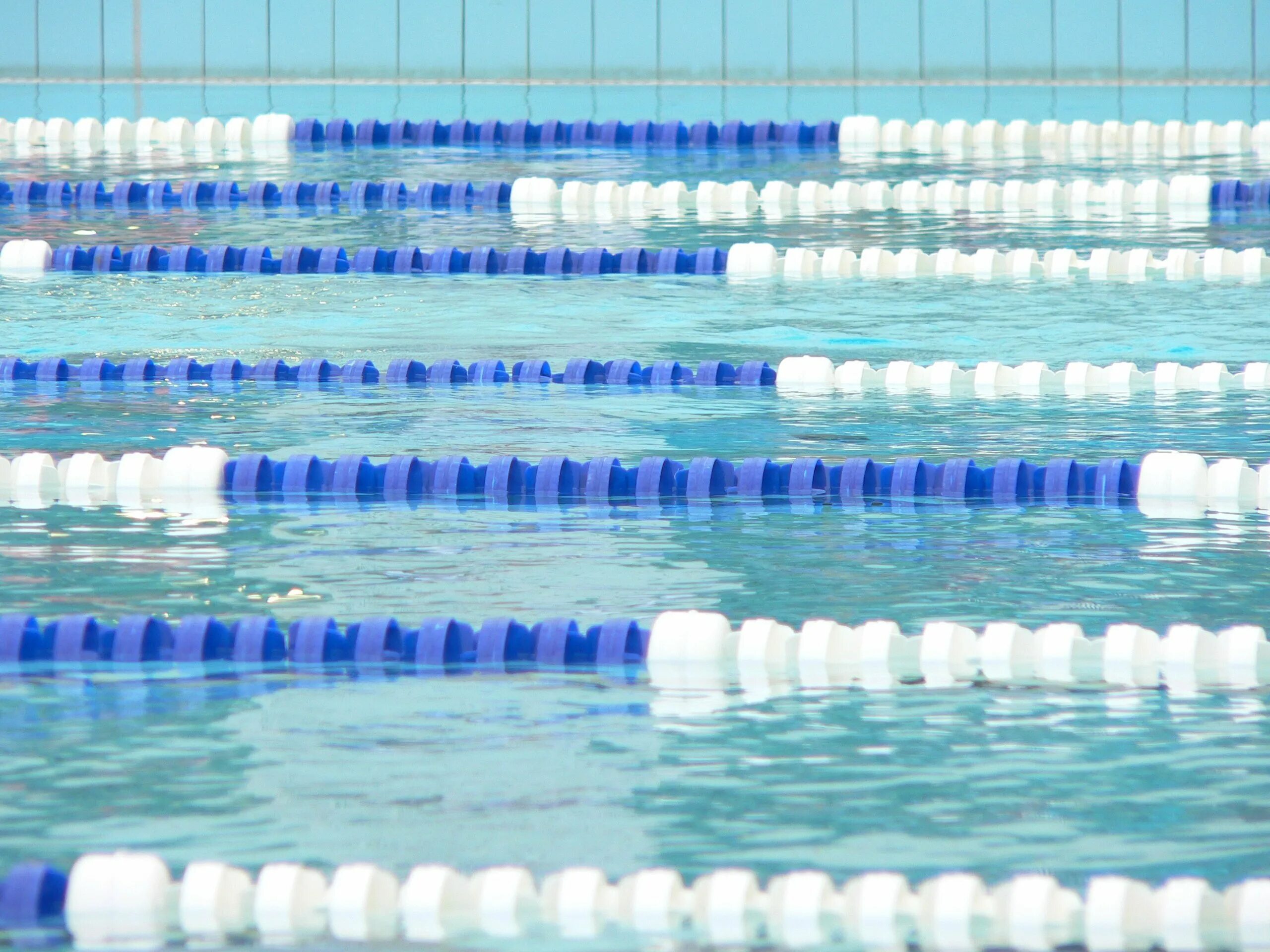 спортивное плавание. бассейн с дорожками. вода в бассейне. плавание в бассейне. фон для презентации плавание.