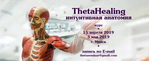 Интуитивная анатомия