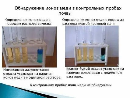 Ионы меди