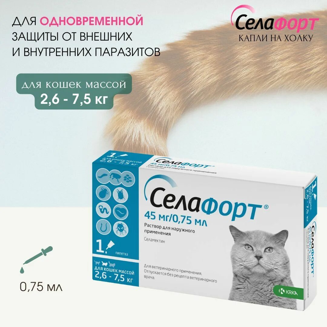 Селафорт селамектин. Селафорт для кошек 7,6 -10 кг, 1 х 60мг/1мл. Селафорт 60мг кошки. Селафорт капли на холку для кошек. Селафорт капли для собак.