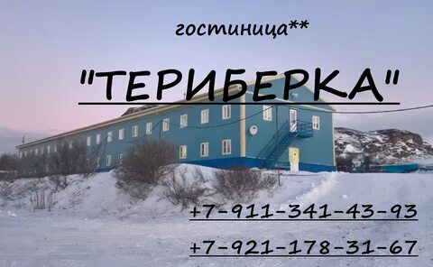 Пилигрим териберка