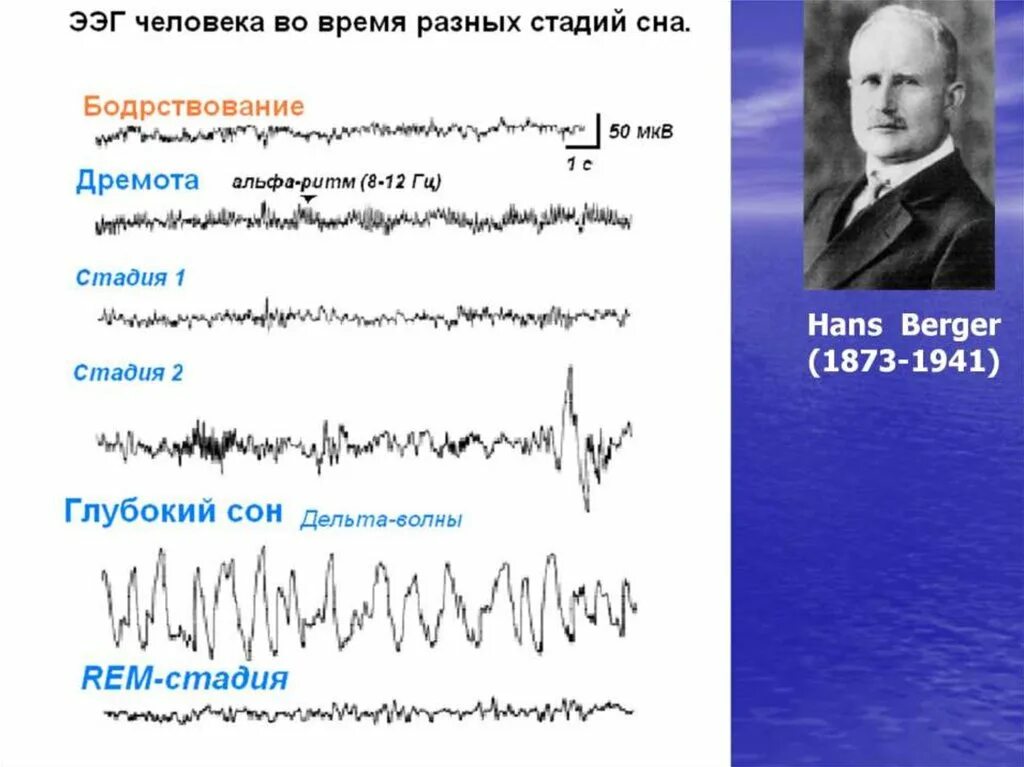 Ээг бодрствования. Ханс Бергер. Электроэнцефалография Бергер. Ганс Бергер (1873-1941) отец электроэнцефалограммы.