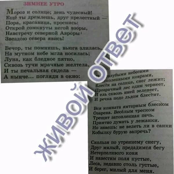 Зимнее утро пушкин найти эпитеты и олицетворения. Зимнее утро метафоры. метафора в стихотворении утро.