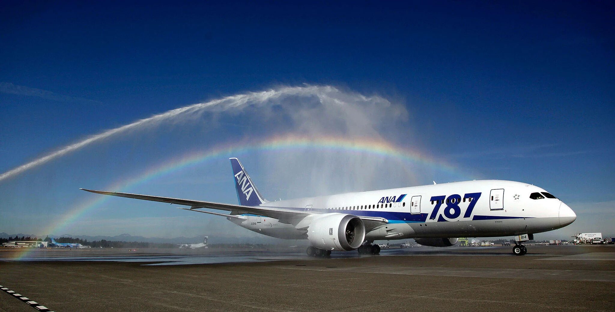 Боинг 787. Boeing 787. 787 Dreamliner. Boeing 787 Dreamliner фото. Боинг 787 Дримлайнер взлетает.