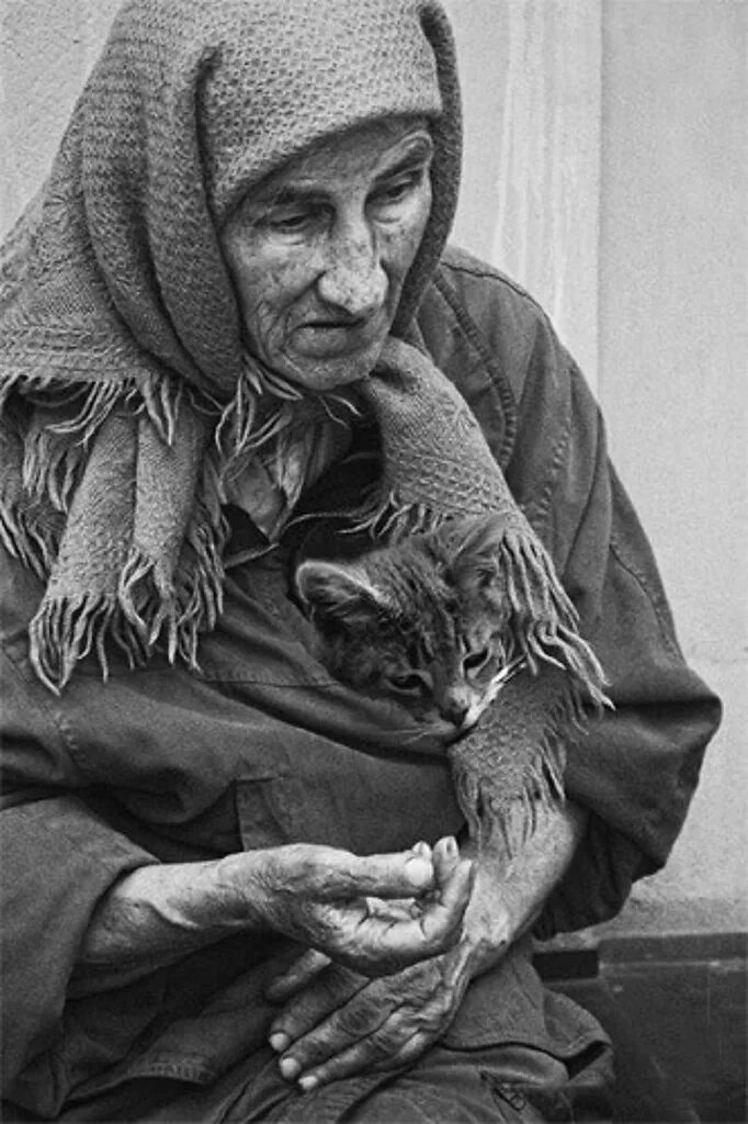 Бабка и кот. Старушка с котом. бабушка с котенком. бедная старушка.