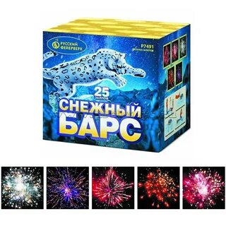 Барс 25