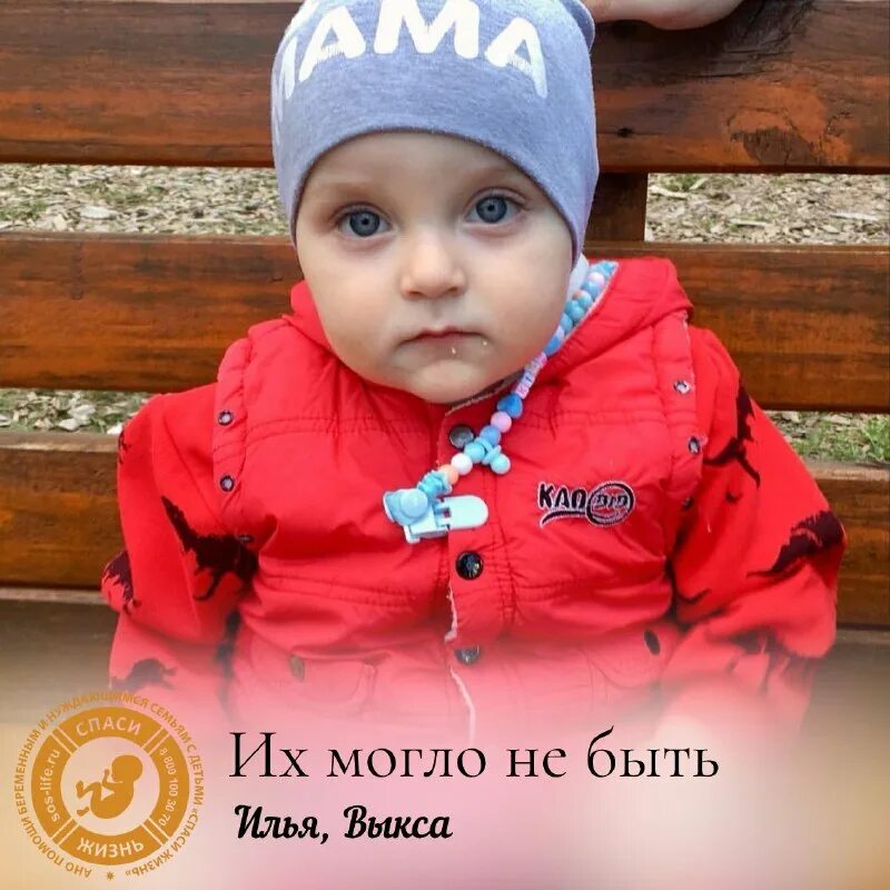 Ано спас. Новоаннинский сельскохозяйственный колледж. Ано спаси жизнь маркова. Ано спаси жизнь. Спб ангелс кофейня.