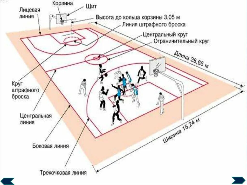 Где эти 3 линии. Баскетбольное поле схема с названиями. Баскетбольная площадка схема с зонами. Лицевая линия баскетбольной площадки. Схема игры в баскетбол.